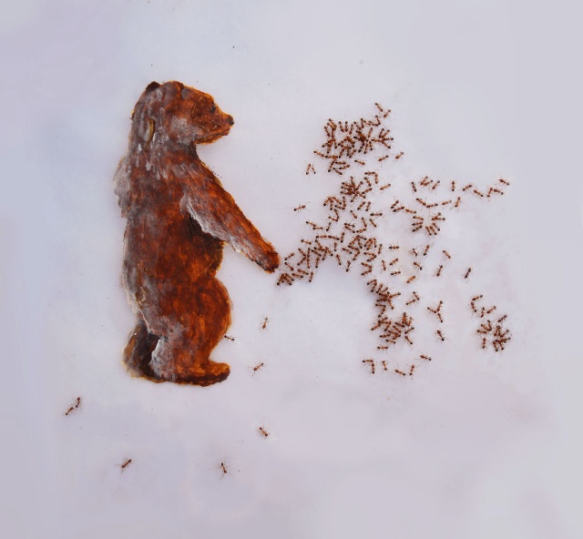 Paintings Made With Ants In Sugar