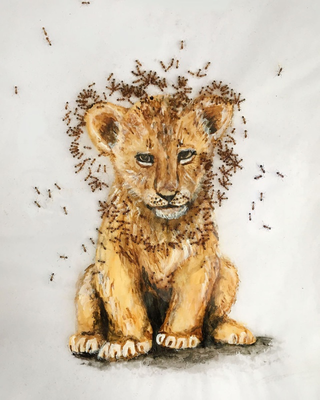 Paintings Made With Ants In Sugar