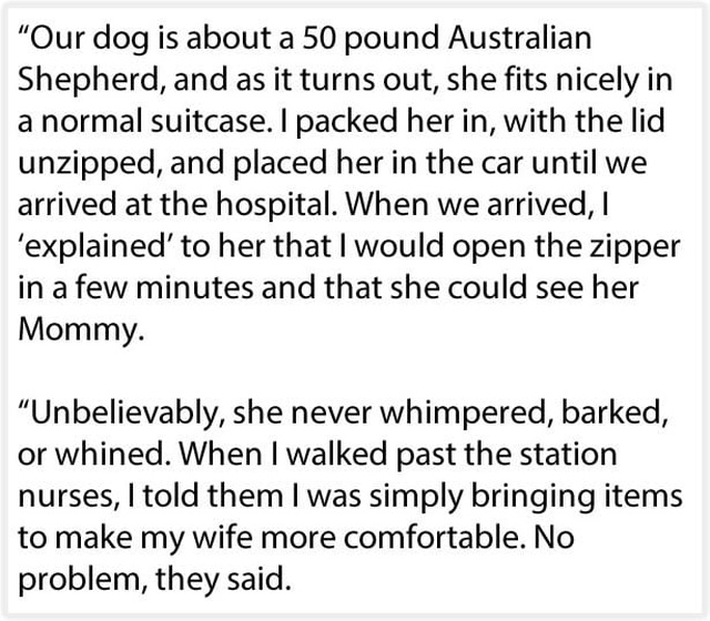 Husband Sneaks Dog Into Hospital In A Suitcase So His Dying Wife Can Say Goodbye