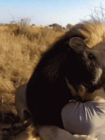 Cuddling Animals