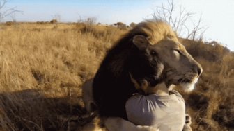 Cuddling Animals