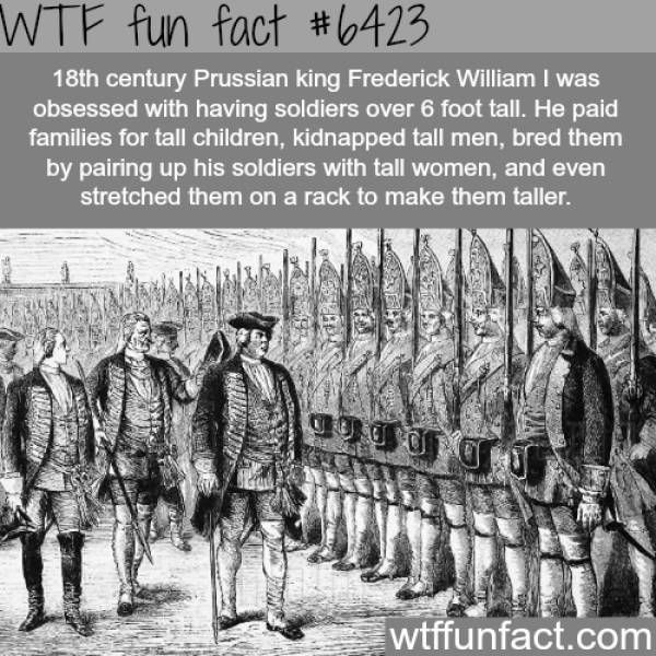 Interesting Facts, part 34