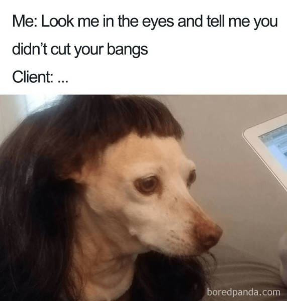 Hairstylist Memes