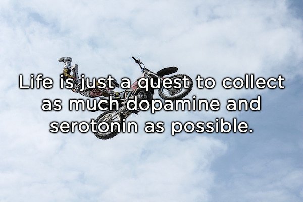 Shower Thoughts, part 42