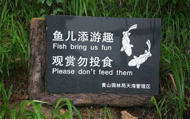 Funny Signs, part 16