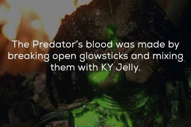 Facts About The Original “Predator”