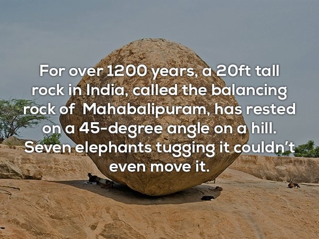 Interesting Facts, part 36