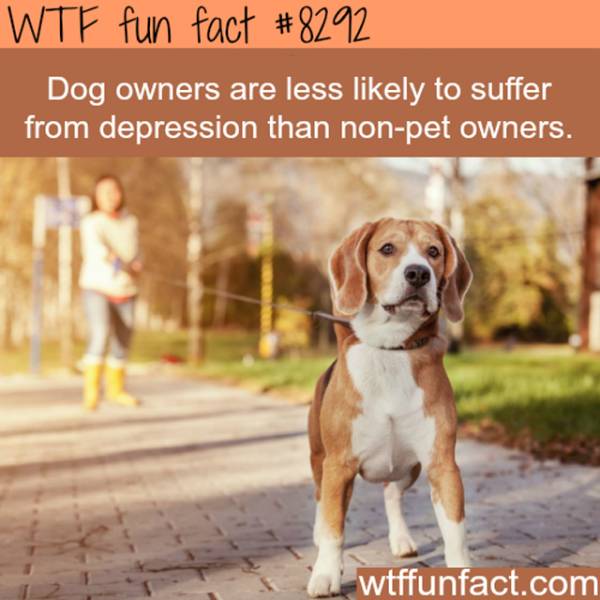 Interesting Facts, part 37