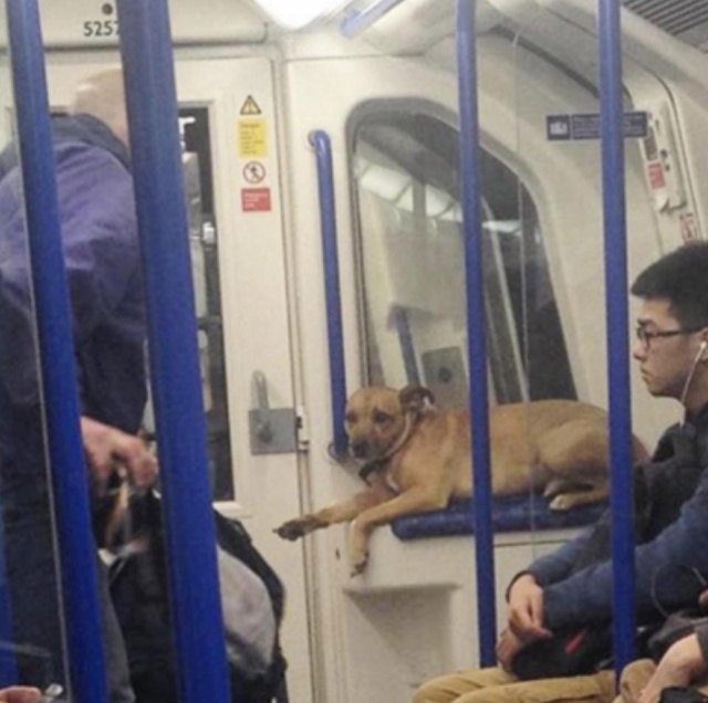 London Commuters Can Be Strange