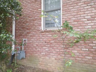 Removal Of A Honeycomb From A House Wall