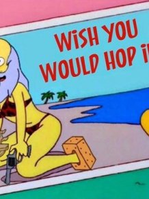 Simpsons Memes