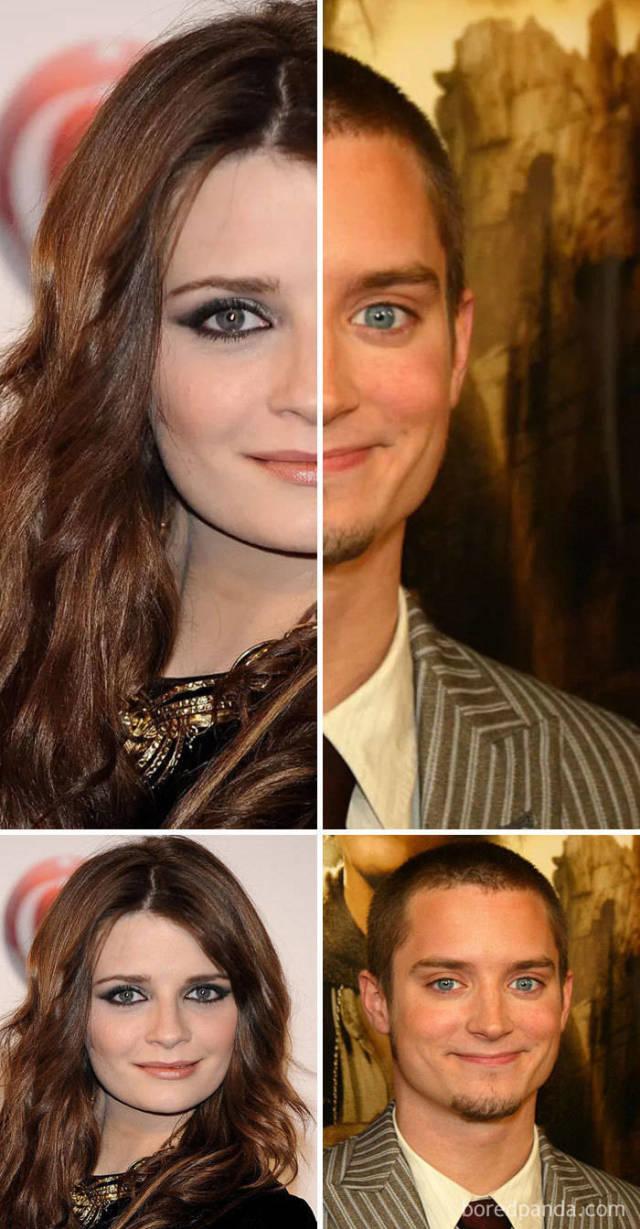 Celebrities And Their Doppelgangers