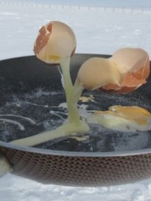 Food In The -60°C