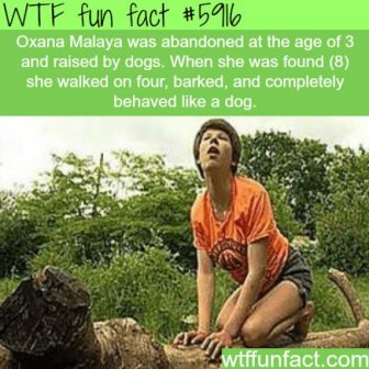 Collection Of Interesting Facts