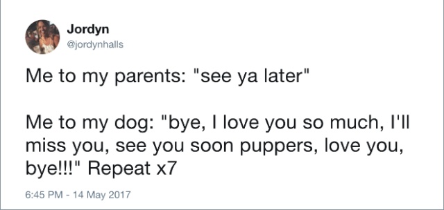 Funny Tweets About Dogs
