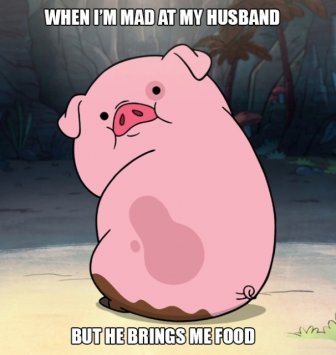 Memes About Married Life