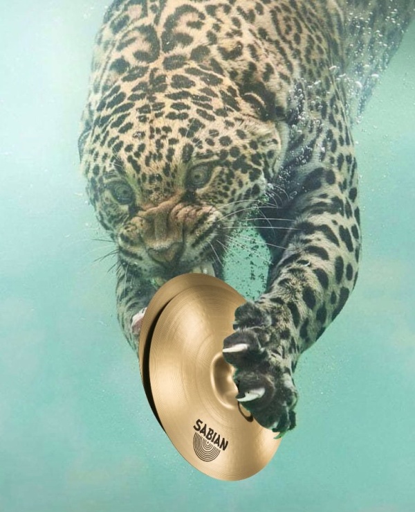 Fishing Leopard Photoshop Battle