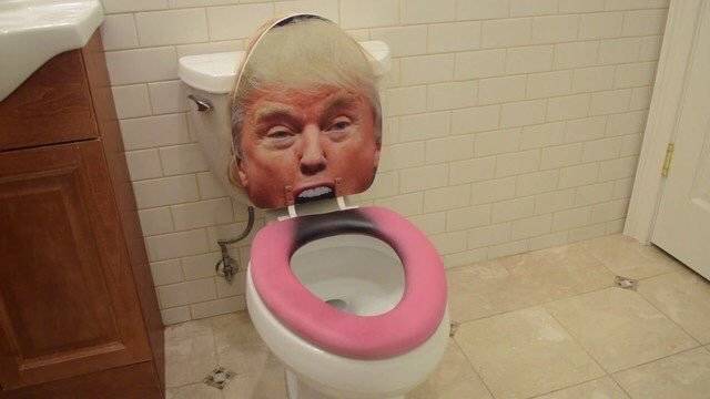 Unusual Toilets