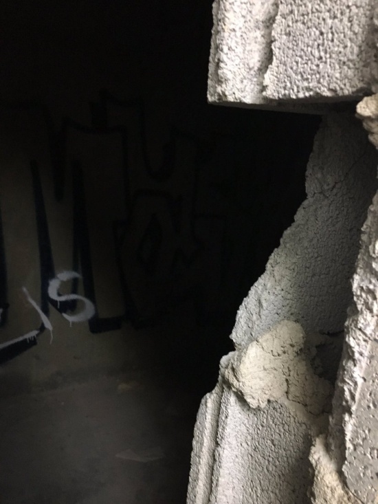 Danny DeVito Shrine Hidden Behind The Paper Towel Dispenser In One Of The School Bathrooms