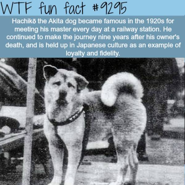Interesting Facts, part 44