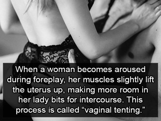 Facts about Foreplay