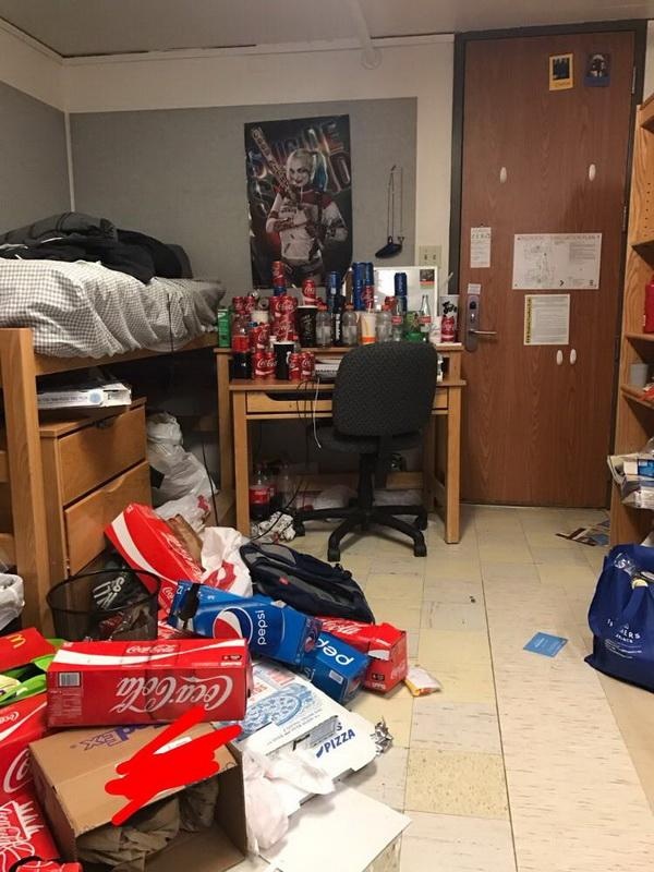 The Room Of A Freshman
