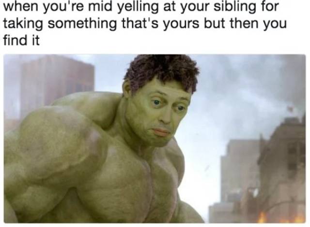Memes About Siblings
