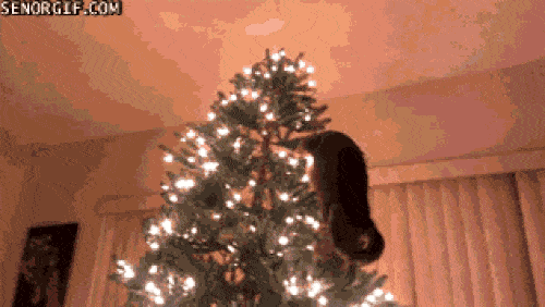 Christmas Tree Fails