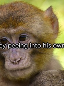People Share  Their “Cannot Be Unseen” Moments