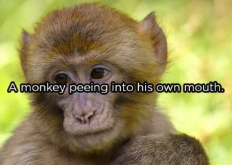 People Share  Their “Cannot Be Unseen” Moments
