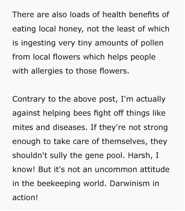 Beekeepers Try To Convince Vegans To Eat Honey