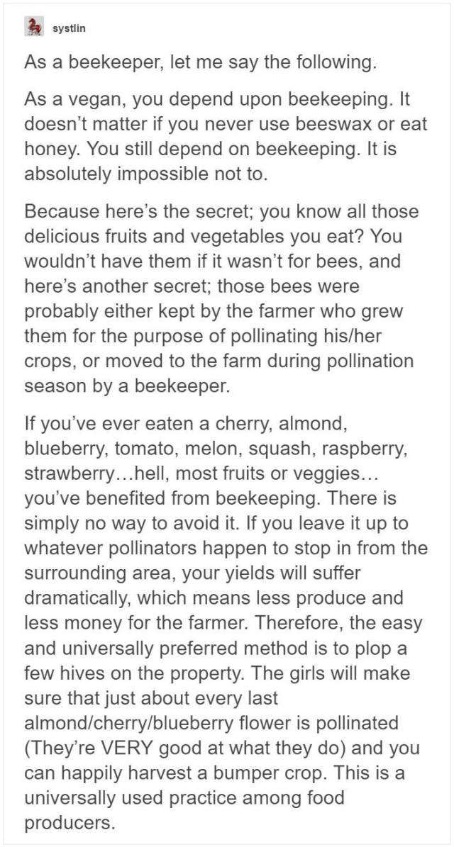 Beekeepers Try To Convince Vegans To Eat Honey