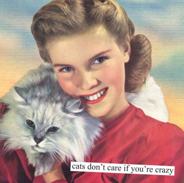 Vintage Pictures With Sarcastic Texts