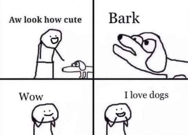 Dog Memes, part 2