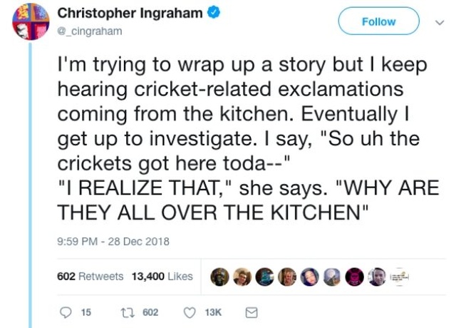 A Story About Crickets