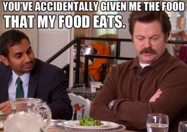 Ron Swanson Funny Moments