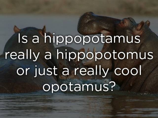 Shower Thoughts, part 59