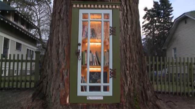 Woman Turned 110-Year-Old Dead Tree Into A Free Little Library
