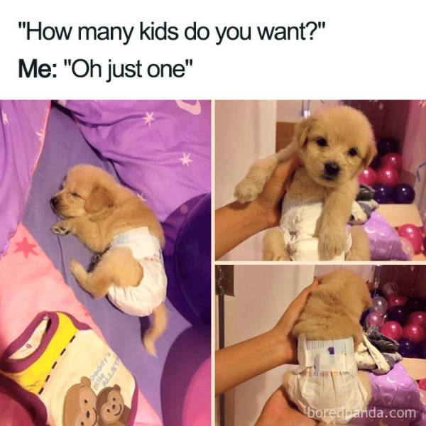 Kids Over Pets Or Pets Over Kids?