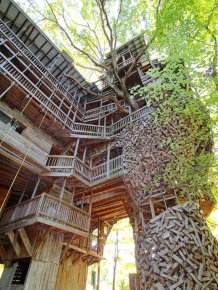 Tennessee 10-Story Tree House With 80 Rooms