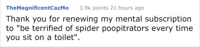 Guy Accidentally Sat On A Toilet With A Huntsman Spider In It