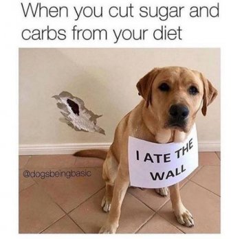 Diet Memes