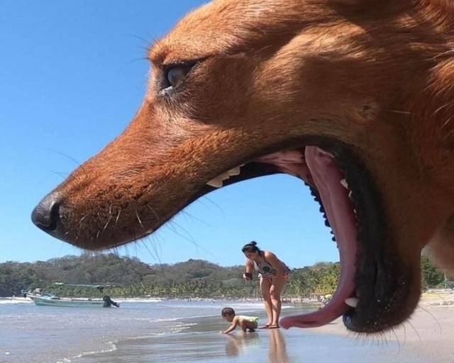 Perfectly Timed Photos, part 12