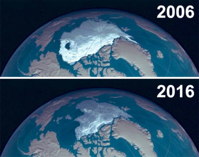 10-Year Challenge In Nature