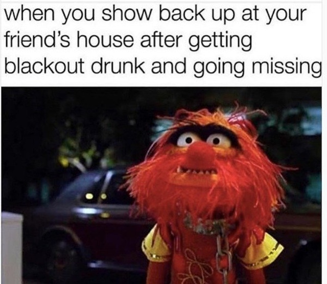 Alcohol Memes And Pictures