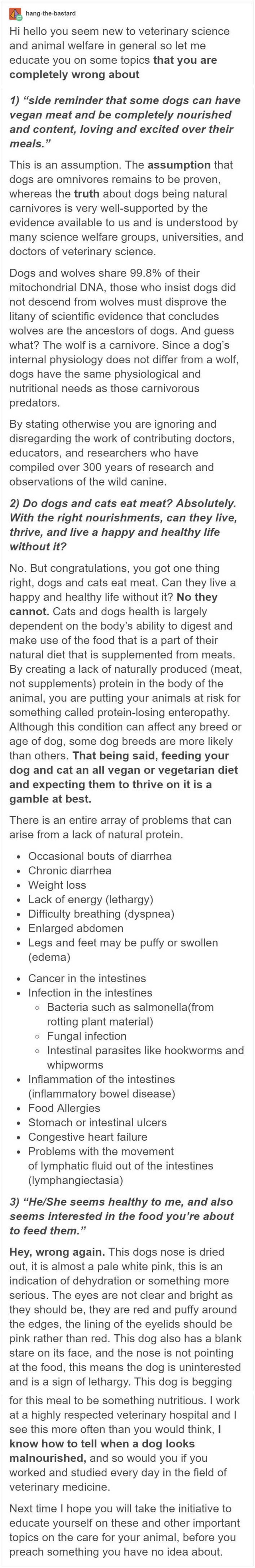 Dogs Are Not Vegans