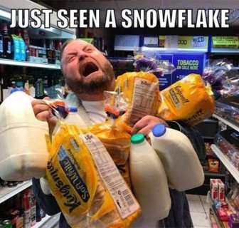 Snow Day Memes