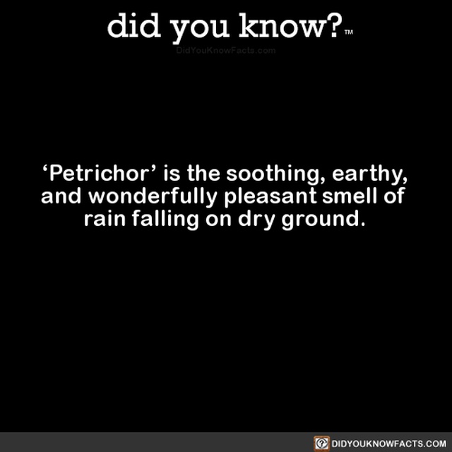 Interesting Facts, part 56