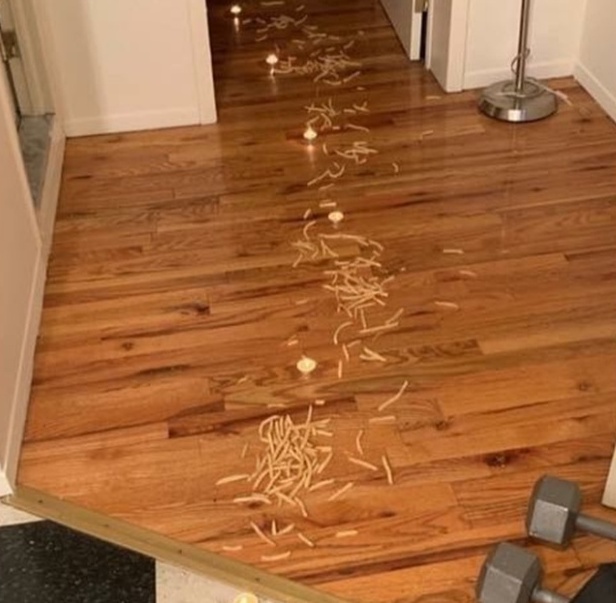 French Fry Trail To The Bed