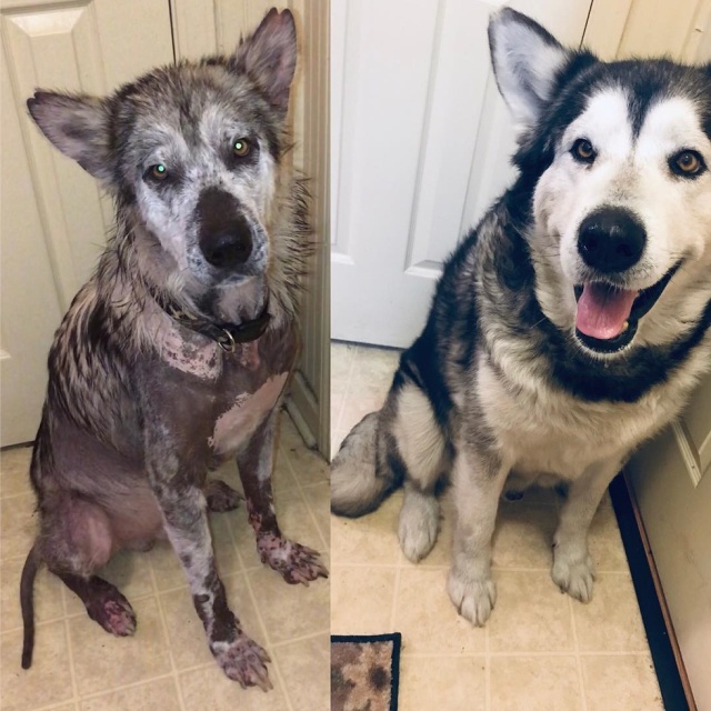 Before And After Adoption